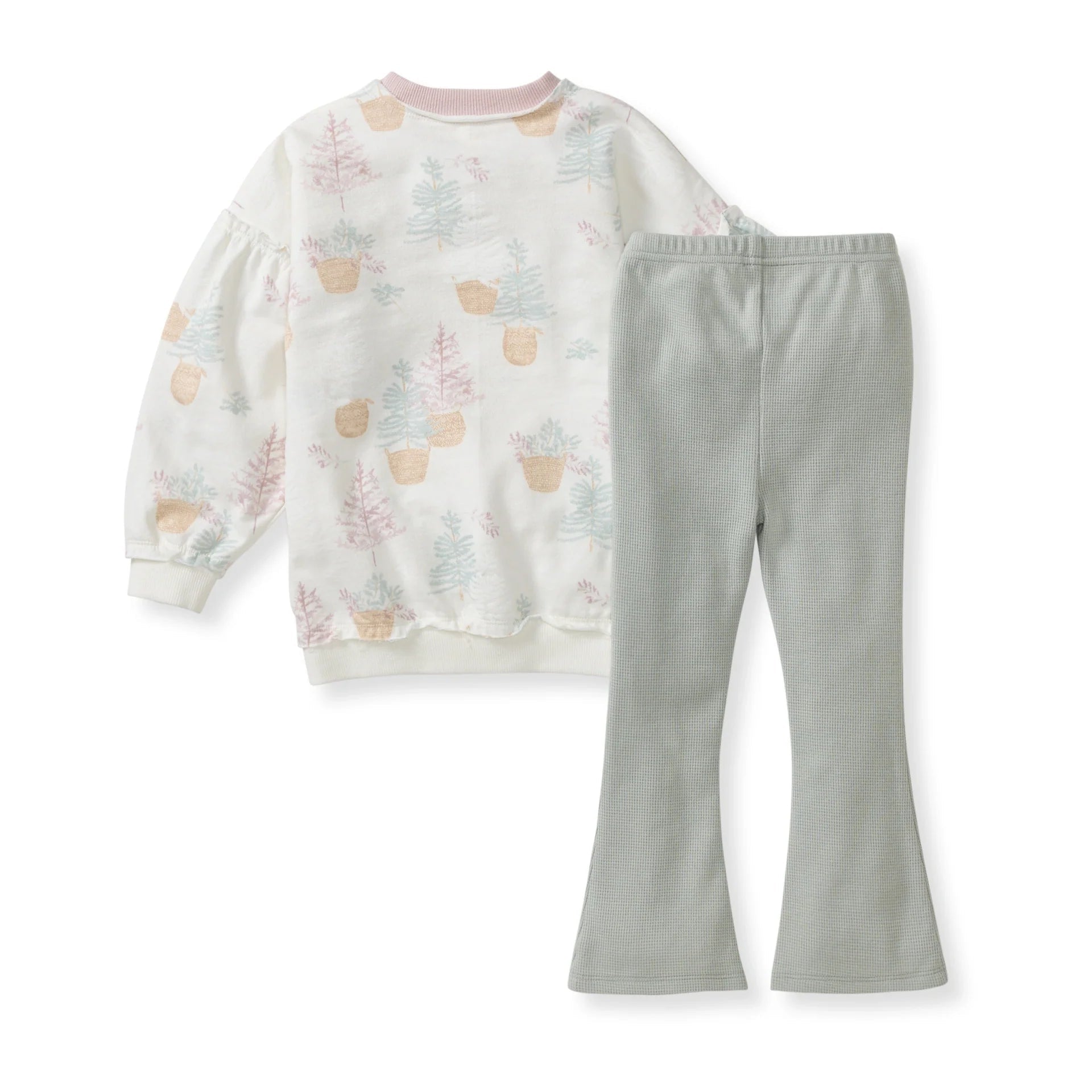 Pretty Pine Farm Organic Sweatshirt & Pants Set
