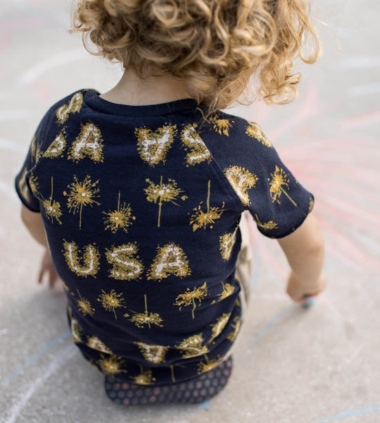 BBB280-USA Toddler Short Set